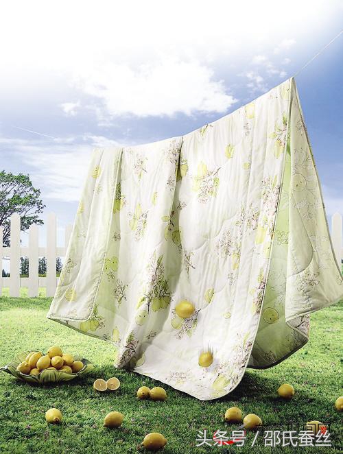 水洗蚕丝被价格,宝缦水洗蚕丝被