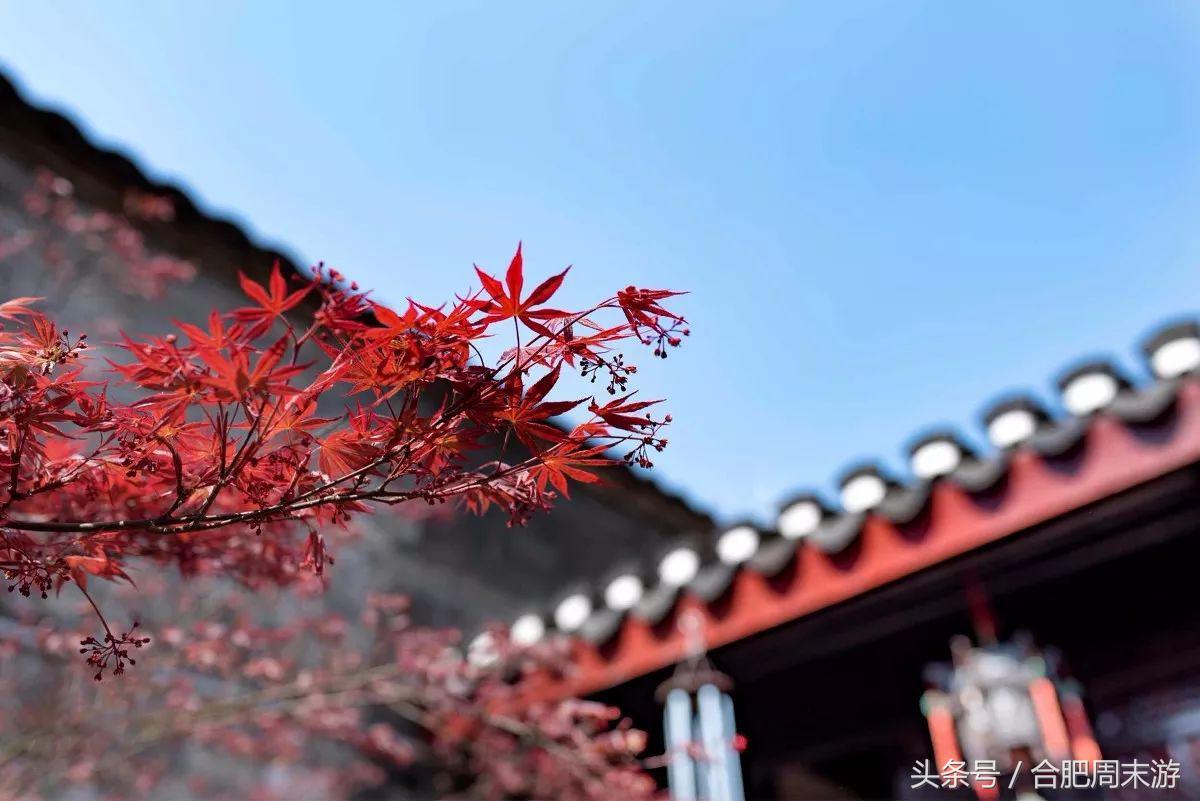 2022浜斾竴鍚堣偉鍏嶈垂鏅尯,鍚堣偉鍏嶈垂鐜╂櫙鍖哄叏鍚嶅崟