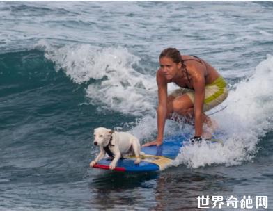 世界10大体育项目,世界上的十大最难的体育项目