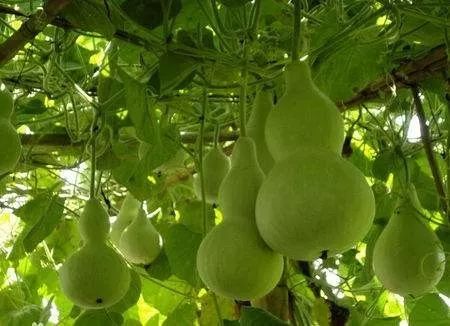 生活故事大全视频,生活故事大全