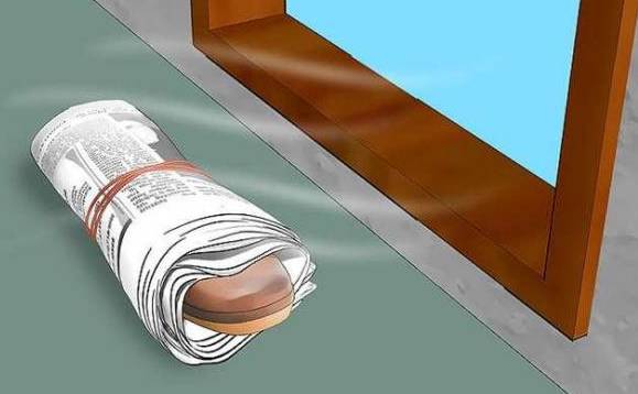 出门鞋子被雨淋湿了怎么弄干,下雨鞋子进水怎么处理