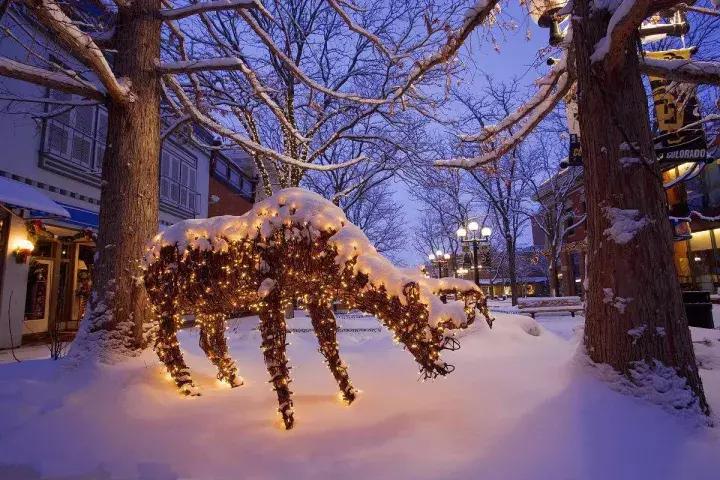 选在圣诞节去美国？这些鲜有人知的信息你得知道！