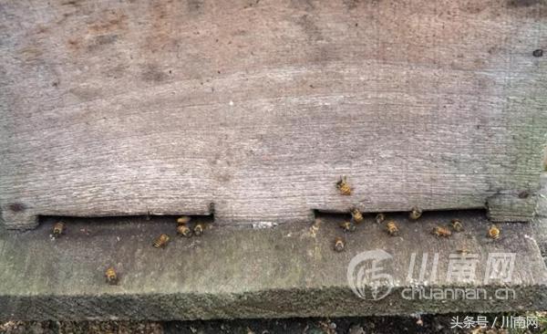 大美叙永系列之白腊苗族乡：中国传统村落，苗趣多多！