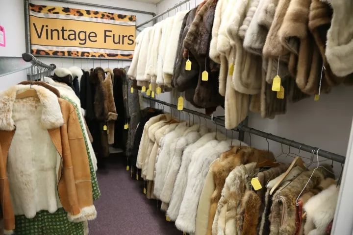 真假皮草，到底谁才是环保公敌？