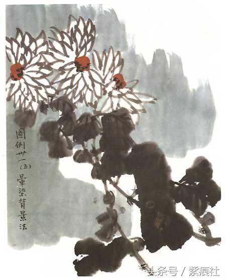国画中球形菊花怎么画好看,名家画菊花的简单画法