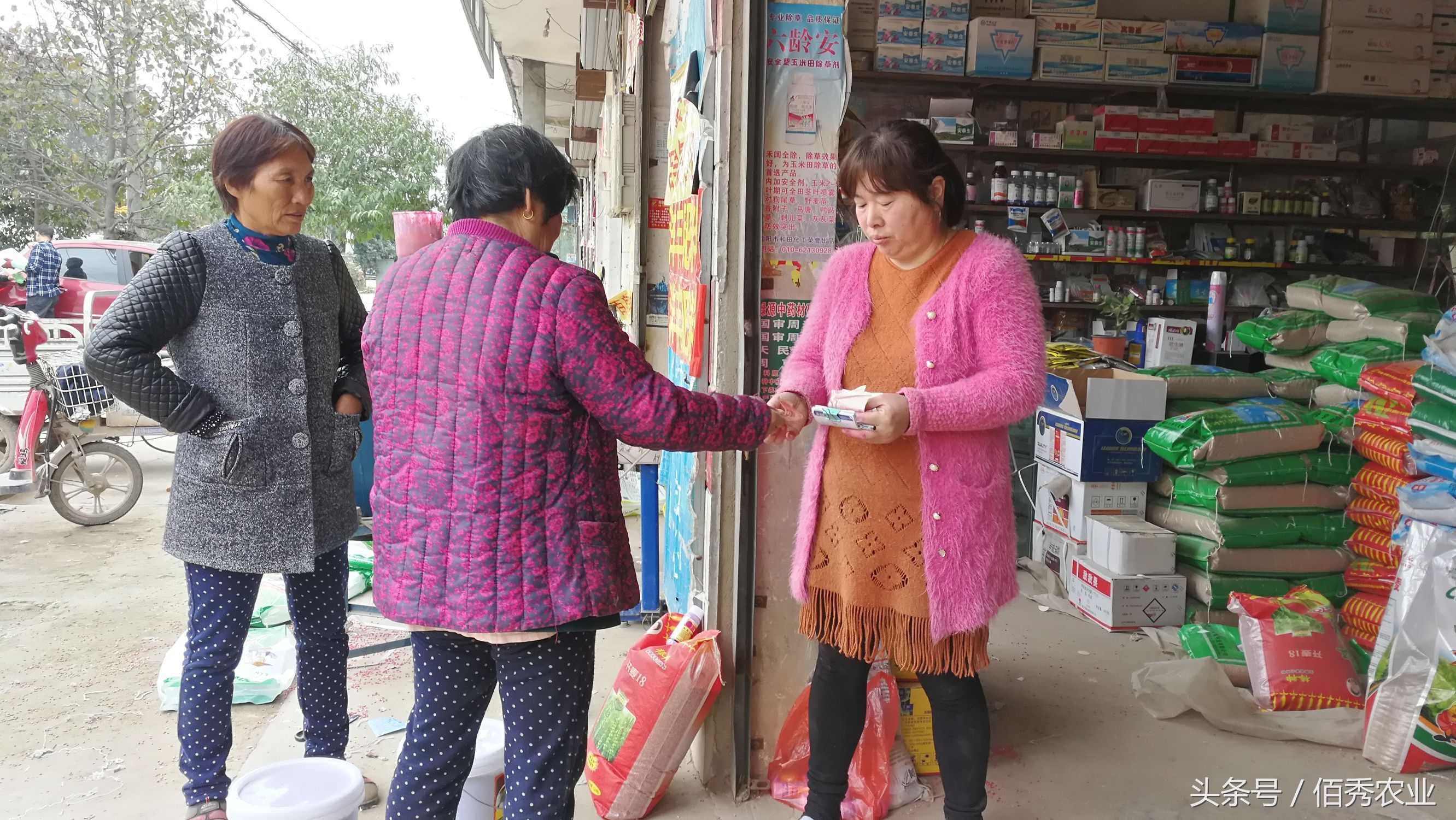 农村比较挣钱的小生意,农村暴利小生意有哪些