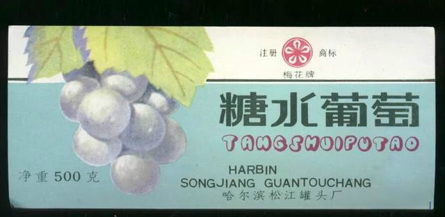 消失13年,消失的13年