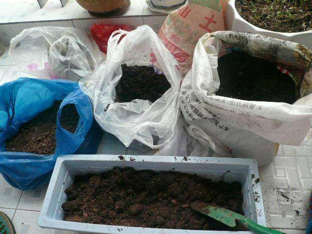 水管打洞种菜,阳台ppr管种菜