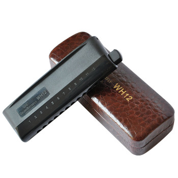 浙江好的半音阶口琴怎么选购,半音阶口琴初学者推荐买哪个