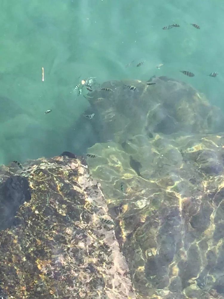 亲子三亚游,什么标题都不如这句话!