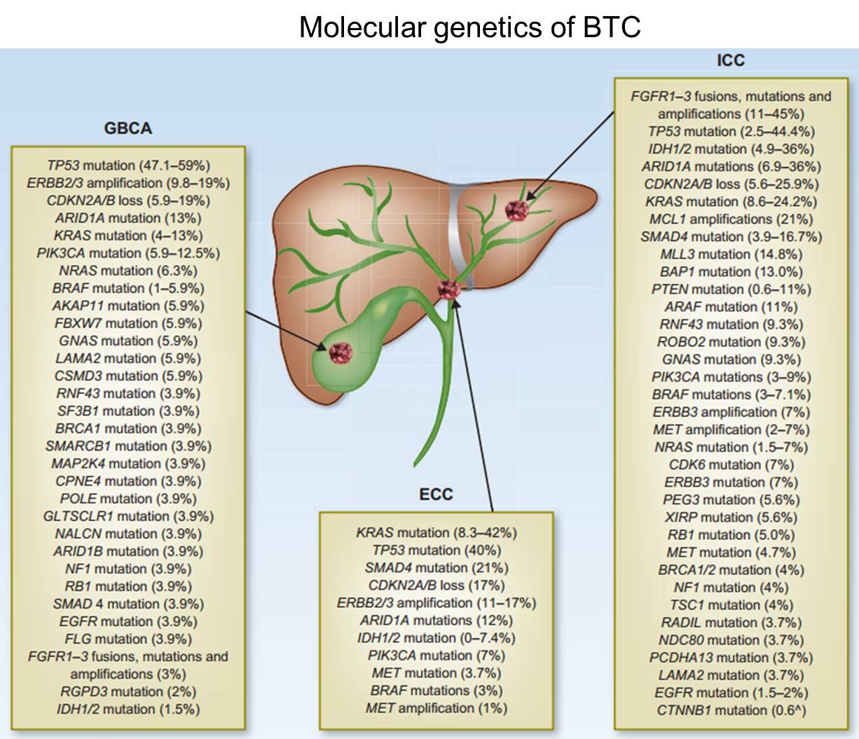 胆管癌免疫加靶向可以长期生存,胆管癌用了免疫药和靶向药费用
