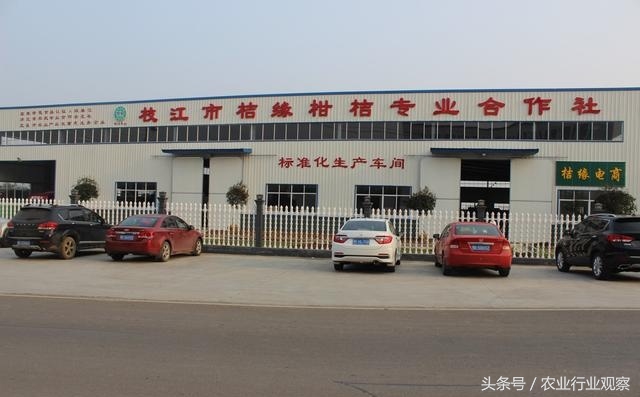 英雄莫问出身小说,英雄莫问出处的事例