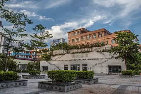 鹏城第一峰梧桐山海拔,鹏城第一峰梧桐山是大梧桐吗