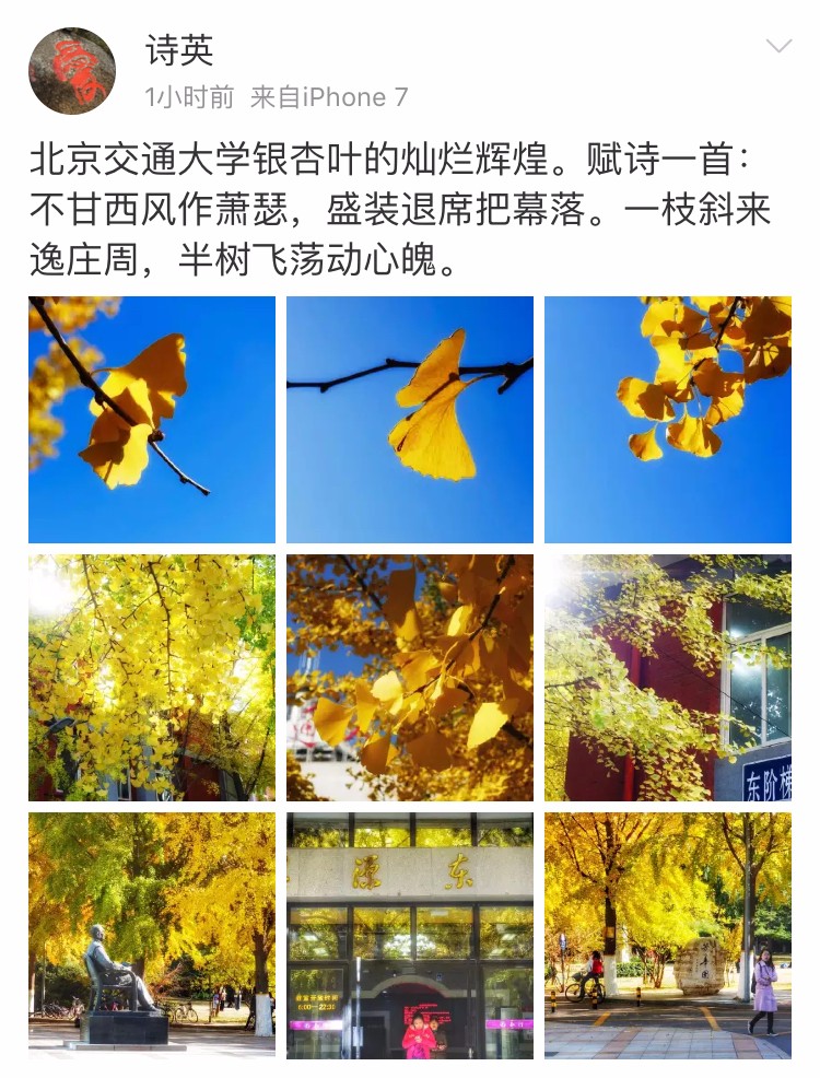 京城赏荷地图高清版,京城赏玉兰最全地图