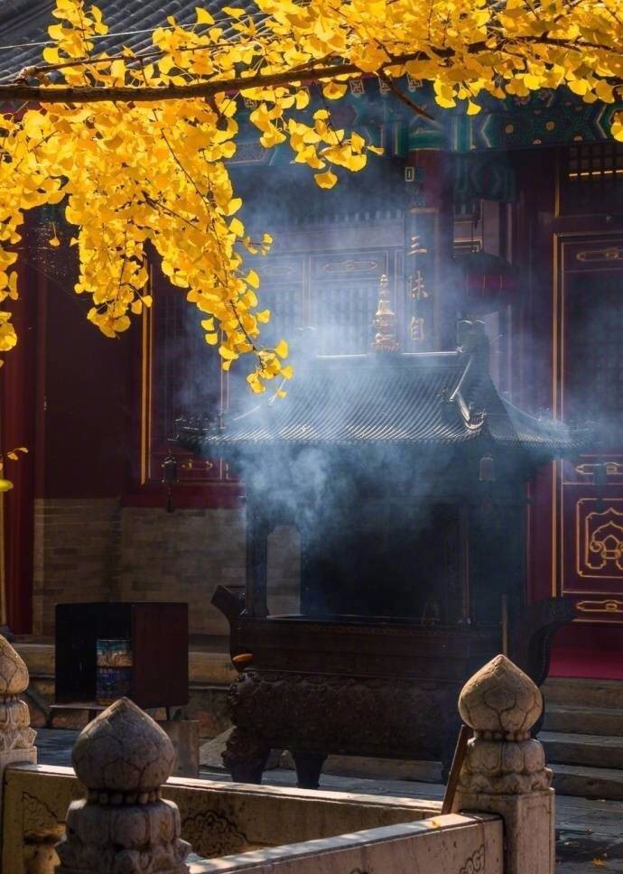 京城赏秋打卡胜地,京城赏荷最佳路线图