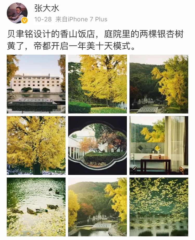 京城赏荷地图高清版,京城赏玉兰最全地图