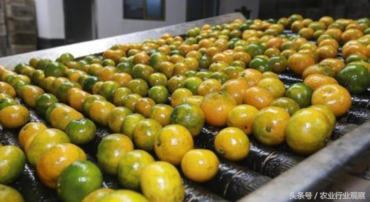 英雄莫问出身小说,英雄莫问出处的事例