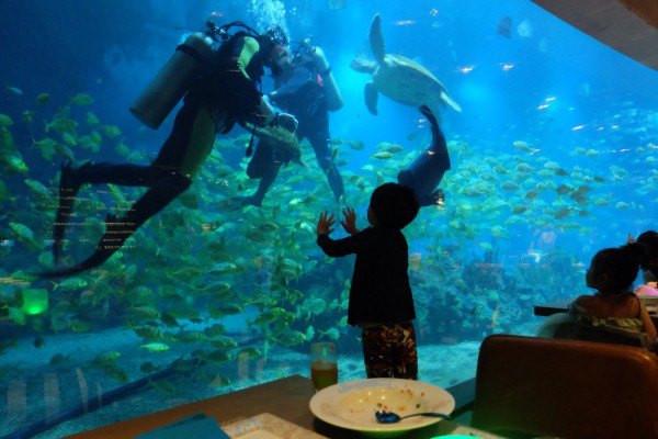 国内亲子游必去的10个海边,假期带孩子去大海旅游推荐