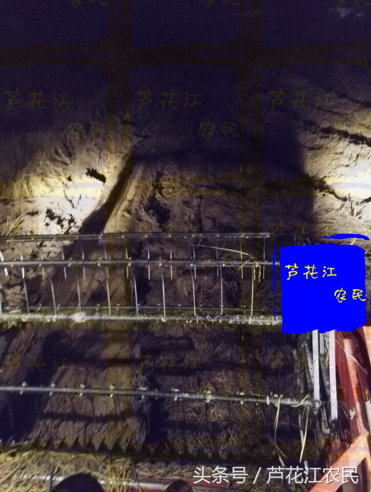 雷沃rg50超越版收割机,福田雷沃rg50超越版多少钱