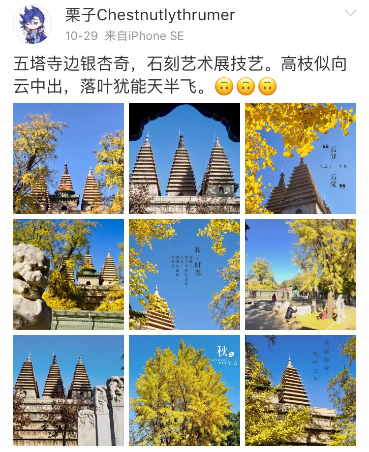 京城赏秋打卡胜地,京城赏荷最佳路线图