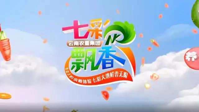 七彩飘香云南芒市,正宗凤庆滇红之明前金丝滇红