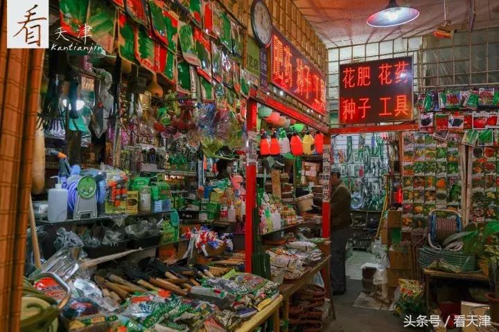 天津宝鸡道花鸟鱼虫市场地铁,宝鸡道花鸟鱼虫市场天津