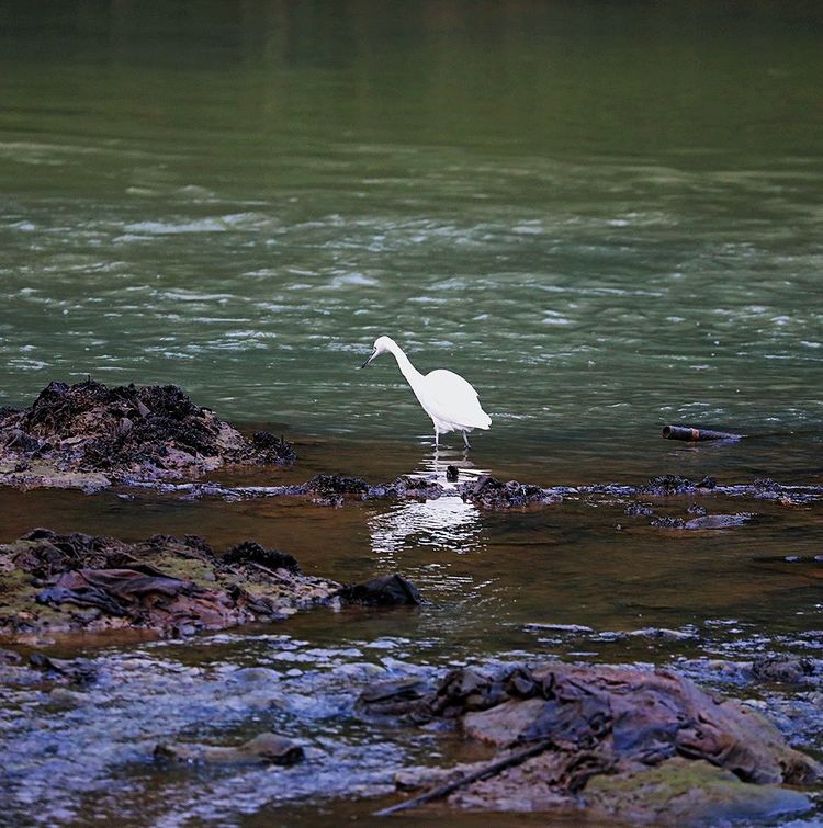 闽中明珠尤溪，八山一水一分田