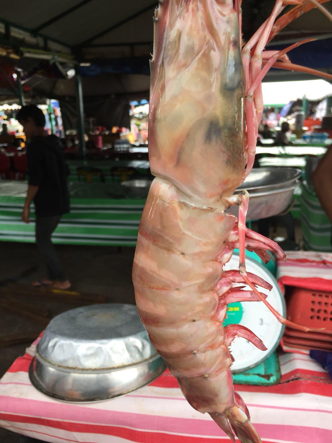 在马来西亚的沙巴码头，中国女生很受欢迎