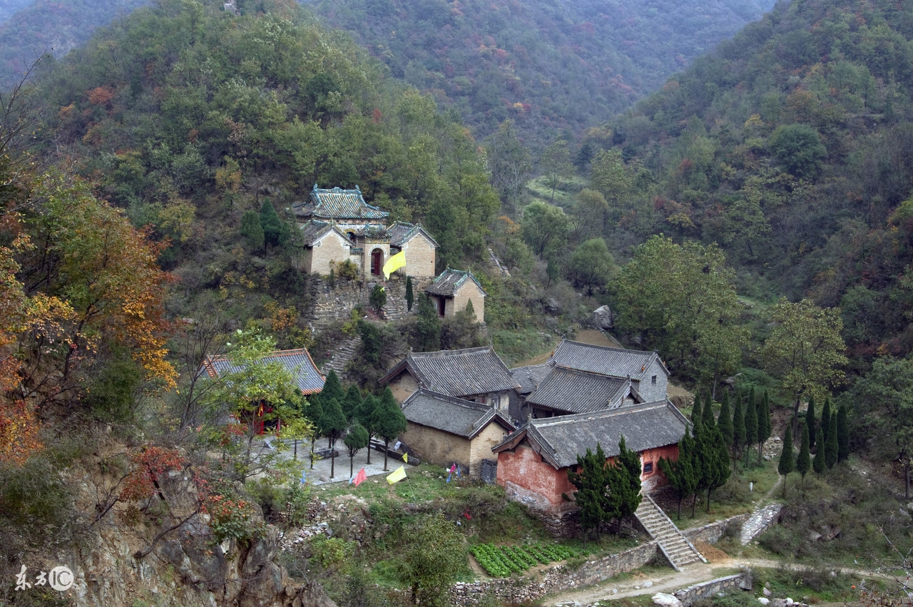 十大名茶金骏眉铁观音红茶龙井,四大名茶铁观音和红茶