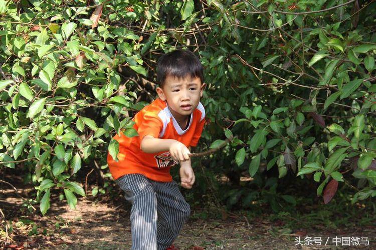 雄鹰少儿足球,雄鹰足球小将