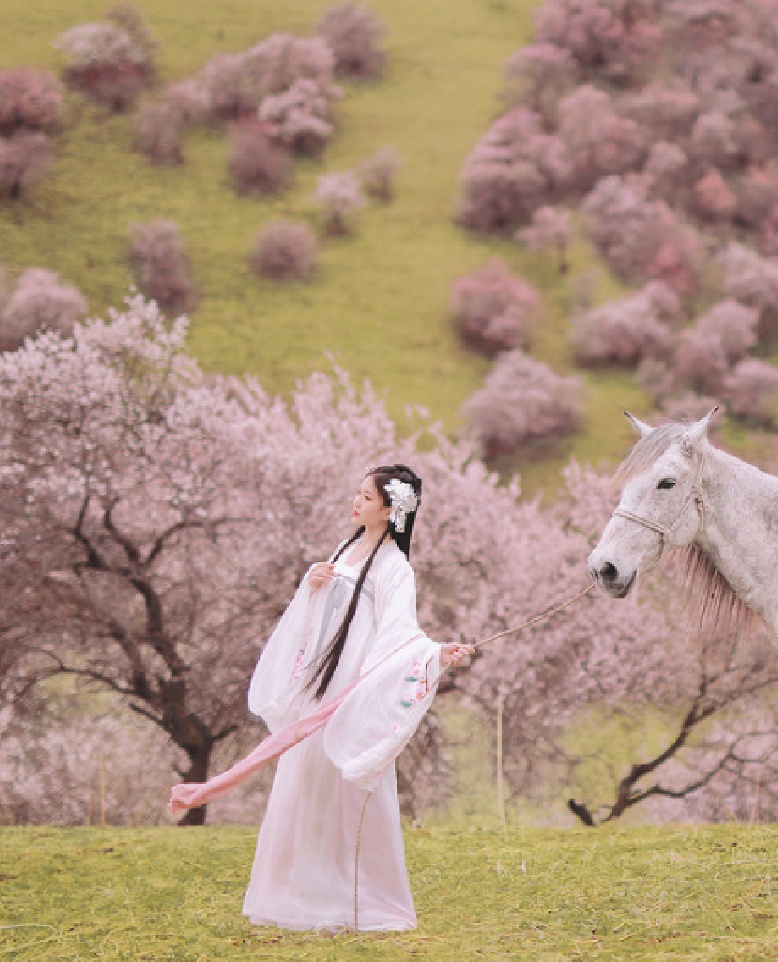 她，是不遇的传说