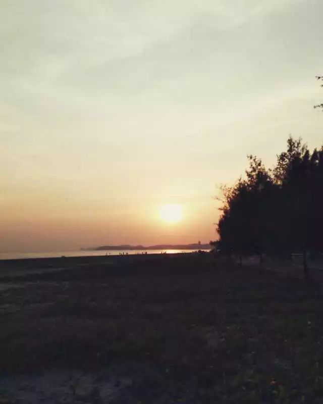 手机摄影作品也可以美不胜收,秋天手机摄影作品欣赏