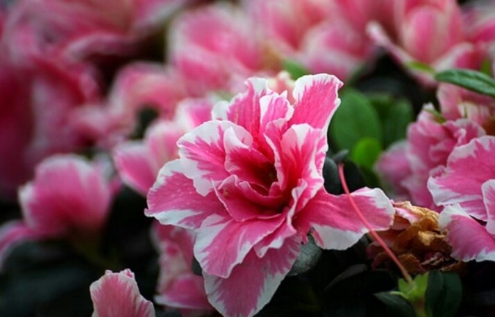 辽宁17岁少女,辽宁叛逆少年成长教育