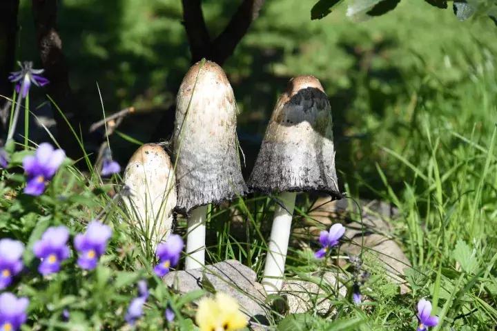 坐火车穿越俄罗斯西伯利亚,欧洲火车途经小镇