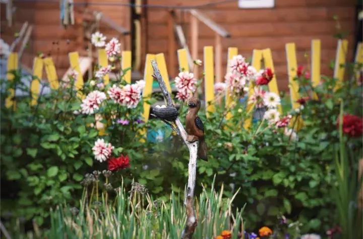 坐火车穿越俄罗斯西伯利亚,欧洲火车途经小镇