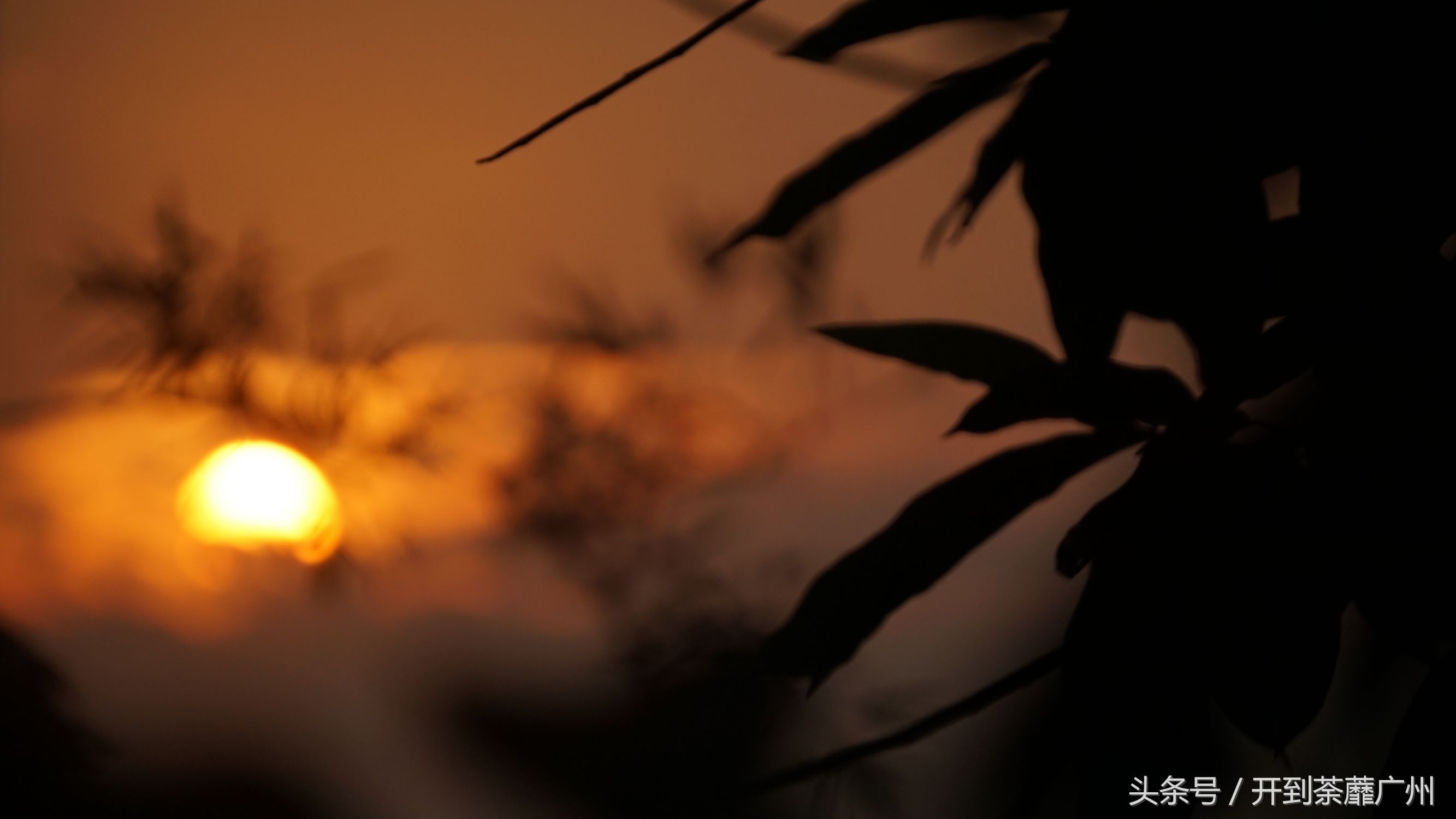 官洲岛：微凉初秋夕阳无限好天色已黄昏