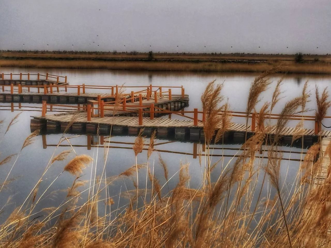 手机摄影作品也可以美不胜收,秋天手机摄影作品欣赏