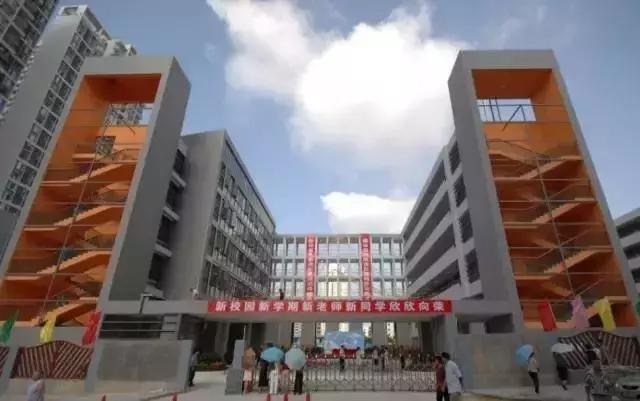 深圳福田前十名好的小学,深圳福田区小学排名前100名