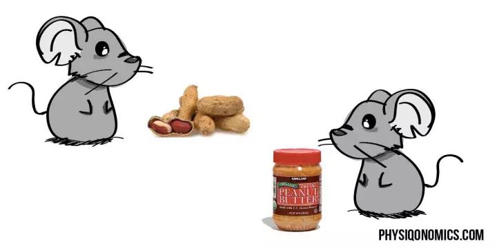 食物热量表减肥必备表,食物热量表减肥必备