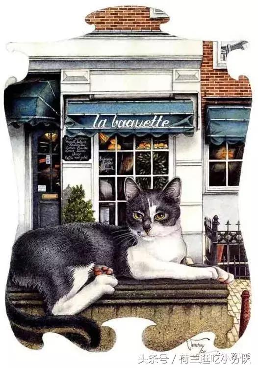 同样是撸猫，看看荷兰人和我们有什么不一样！