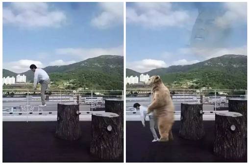 让人笑出眼泪的大神p图,p图大神搞笑