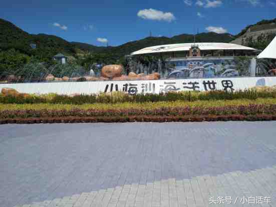 深圳小梅沙海洋世界怎样玩,秋游深圳小梅沙海洋世界