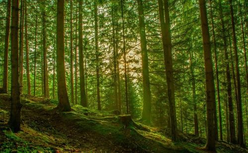 开空调木门变形关不上怎么办,木门扇变形翘起怎样处理比较好