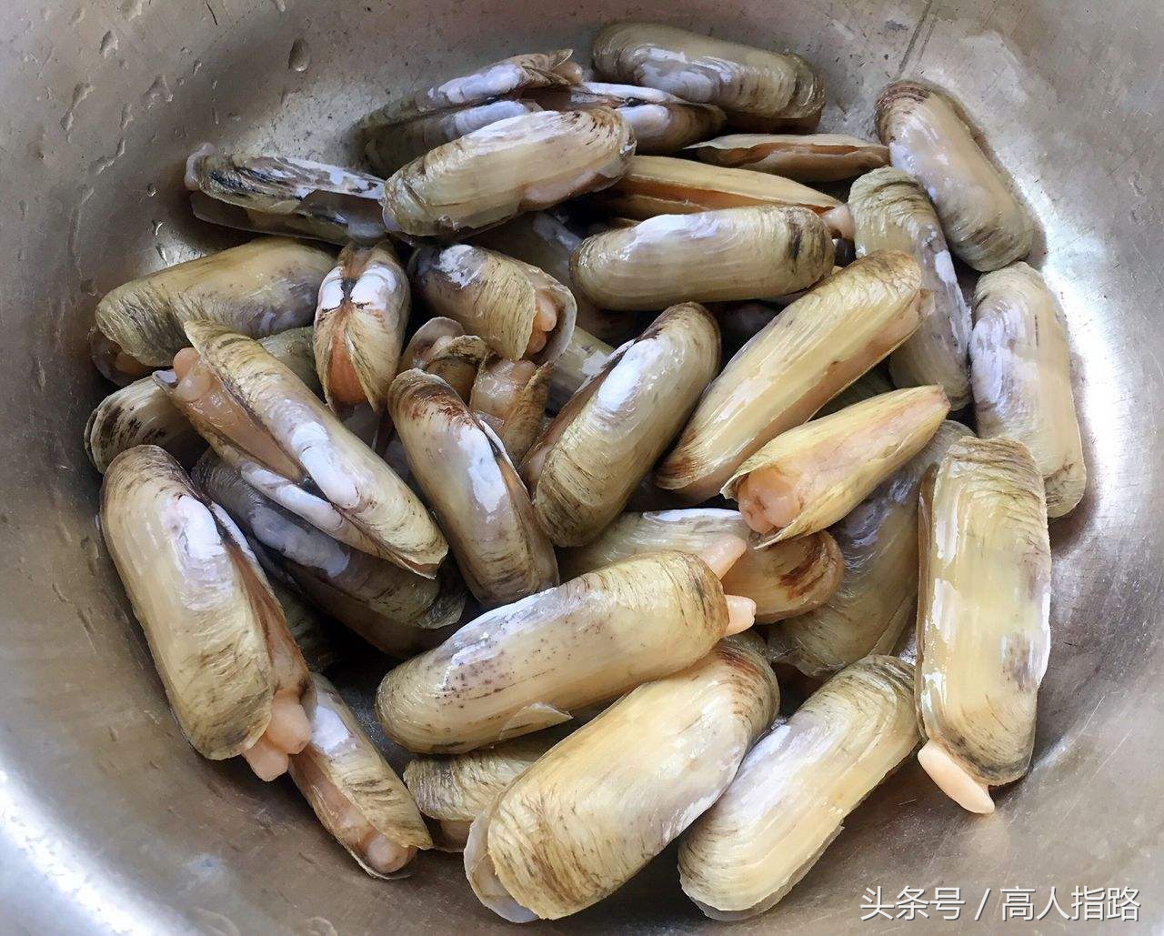 蛏子的营养价值有哪些,蛏子怎么吃最有营养价值