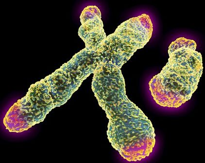 钟丽缇为生四胎有多努力,钟丽缇喝苏打水