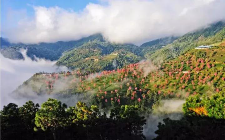 大理没有商业化的旅游景点,大理没被发现的景点