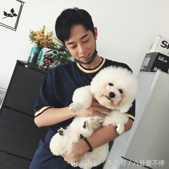 新流星花园f4出场气场,新流星花园f4女神分别是