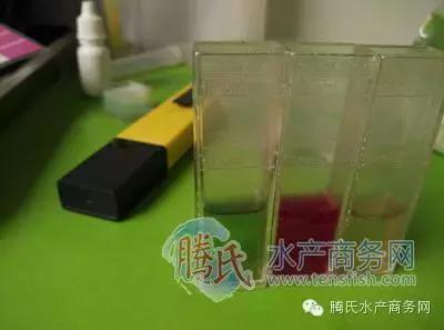 齐同俊医生年度总结,渔医齐同俊简介