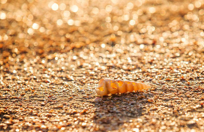 泰国甲米9天自由行 (泰国甲米半岛海上一日游)