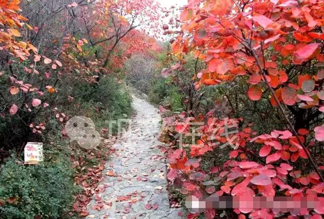 对不起，我们分手吧！因为你是巩义人……